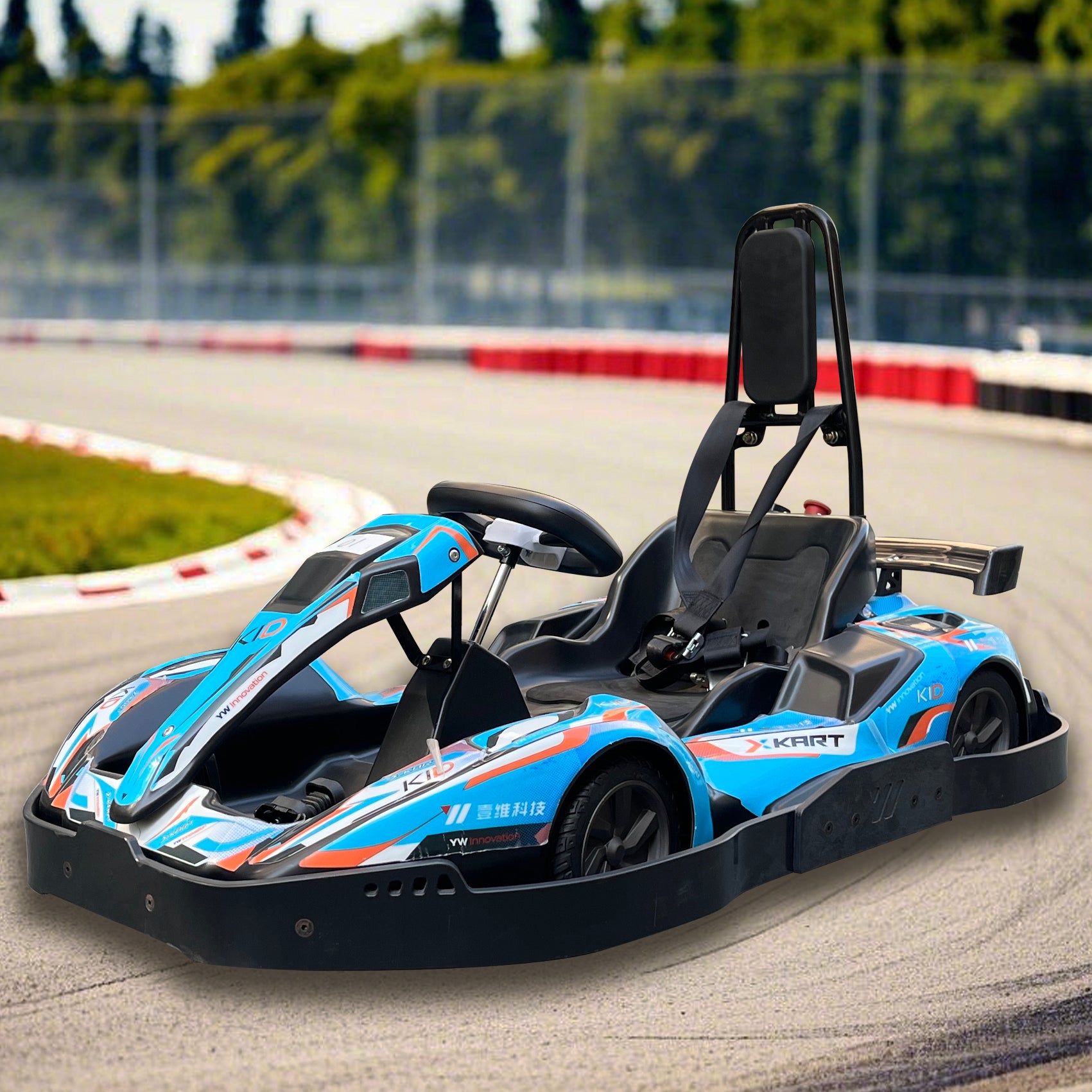 Teen-E Electric Kart