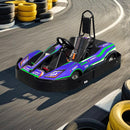 Lite-E Electric Kart